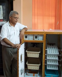 Solar Poultry Incubator